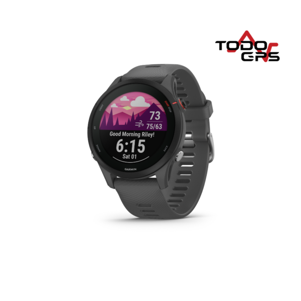 Garmin Forerunner 255 Slate Gray