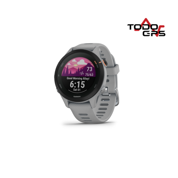 Garmin Forerunner 255S Gris