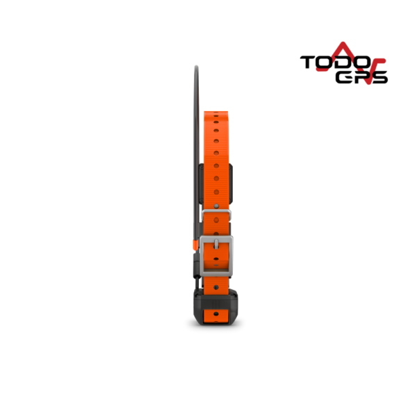 Collar para perros Garmin Alpha TT 25 - Image 2